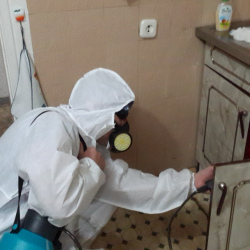 Дезинфекция от муравьев в квартире в Ефремове