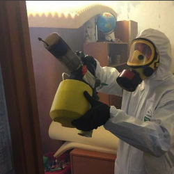 Уничтожение клопов в квартире. Ефремов